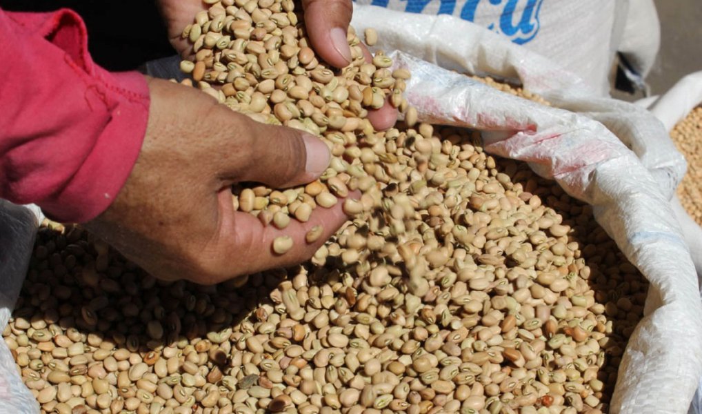 Ministro da Agricultura, Pecuária e Abastecimento (Mapa), Blairo Maggi, anunciou nesta quarta-feria, 22, que governo vai liberar a importação de feijão de alguns países, como Argentina, no Paraguai e na Bolívia; Maggi disse ainda que pretende propor às grandes redes de supermercado que busquem comprar o produto nas regiões onde a oferta é maior; "Pessoalmente tenho me envolvido nas negociações com os cerealistas, com os grandes supermercados, para que eles possam fugir do tradicional que se faz no Brasil, e ir diretamente à fonte onde tem esse produto e trazer", disse (Foto: Aquiles Lins) Ministro da Agricultura, Pecuária e Abastecimento (Mapa), Blairo Maggi, anunciou nesta quarta-feria, 22, que governo vai liberar a importação de feijão de alguns países, como Argentina, no Paraguai e na Bolívia; Maggi disse ainda que pretende propor às grandes redes de supermercado que busquem comprar o produto nas regiões onde a oferta é maior; "Pessoalmente tenho me envolvido nas negociações com os cerealistas, com os grandes supermercados, para que eles possam fugir do tradicional que se faz no Brasil, e ir diretamente à fonte onde tem esse produto e trazer", disse