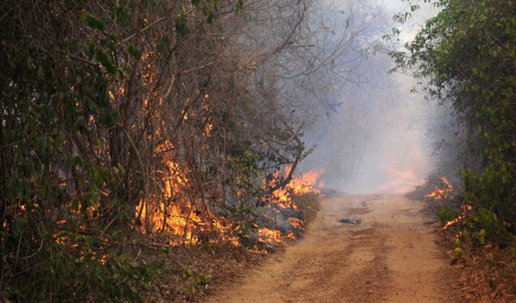 Está proibido atear fogo em florestas ou qualquer tipo de vegetação em todo o território piauiense durante o período compreendido entre 19 de outubro a 30 de novembro de 2016; a decisão foi tomada pelo governo do Piauí, por meio da Secretaria Estadual do Meio Ambiente e Recursos Hídricos – SEMAR; de 1 a 9 de outubro foram registrados 500 focos de incêndio no estado (Foto: Leonardo Lucena) Está proibido atear fogo em florestas ou qualquer tipo de vegetação em todo o território piauiense durante o período compreendido entre 19 de outubro a 30 de novembro de 2016; a decisão foi tomada pelo governo do Piauí, por meio da Secretaria Estadual do Meio Ambiente e Recursos Hídricos – SEMAR; de 1 a 9 de outubro foram registrados 500 focos de incêndio no estado