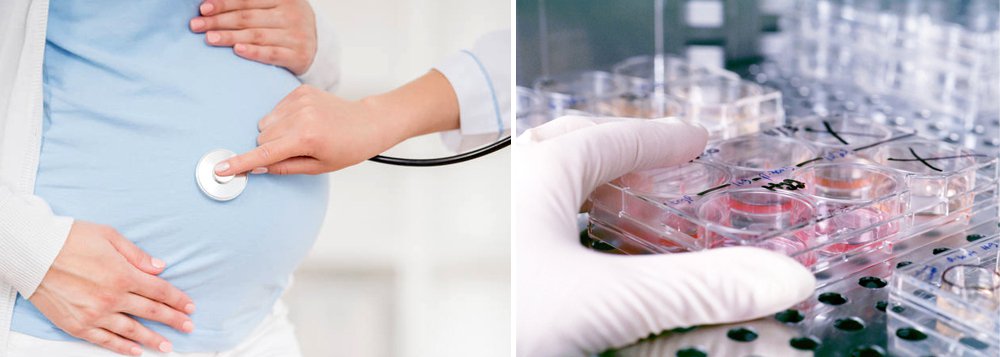 O Estado do Tocantins agora conta com o teste molecular para zika, chikungunya e dengue no Laboratório Central de Saúde Pública do Tocantins (Lacen); o teste usa técnica conhecida como RT-PCR para detecção viral; os exames serão prioritariamente realizados em grávidas com suspeita de zika, em qualquer período gestacional, e em recém-nascidos com suspeita de microcefalia, conforme preconizado pelo Protocolo de Vigilância e Resposta à Ocorrência de Microcefalia e/ou Alterações do Sistema Nervoso Central do Ministério da Saúde. (Foto: Leonardo Lucena) O Estado do Tocantins agora conta com o teste molecular para zika, chikungunya e dengue no Laboratório Central de Saúde Pública do Tocantins (Lacen); o teste usa técnica conhecida como RT-PCR para detecção viral; os exames serão prioritariamente realizados em grávidas com suspeita de zika, em qualquer período gestacional, e em recém-nascidos com suspeita de microcefalia, conforme preconizado pelo Protocolo de Vigilância e Resposta à Ocorrência de Microcefalia e/ou Alterações do Sistema Nervoso Central do Ministério da Saúde.