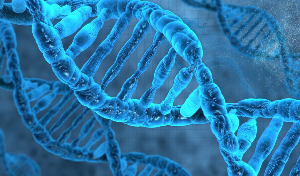 Cientistas lançaram uma iniciativa global nesta sexta-feira para mapear e descrever cada célula do corpo humano em um grande atlas, que poderia transformar a compreensão dos pesquisadores sobre o desenvolvimento e as doenças dos humanos; o atlas, que provavelmente exigirá mais de uma década para ser finalizado, pretende traçar os tipos e as propriedades de todas as células humanas em todos os tecidos e órgãos e montar um mapa de referência sobre o corpo humano saudável, disseram os cientistas (Foto: Leonardo Attuch) Cientistas lançaram uma iniciativa global nesta sexta-feira para mapear e descrever cada célula do corpo humano em um grande atlas, que poderia transformar a compreensão dos pesquisadores sobre o desenvolvimento e as doenças dos humanos; o atlas, que provavelmente exigirá mais de uma década para ser finalizado, pretende traçar os tipos e as propriedades de todas as células humanas em todos os tecidos e órgãos e montar um mapa de referência sobre o corpo humano saudável, disseram os cientistas