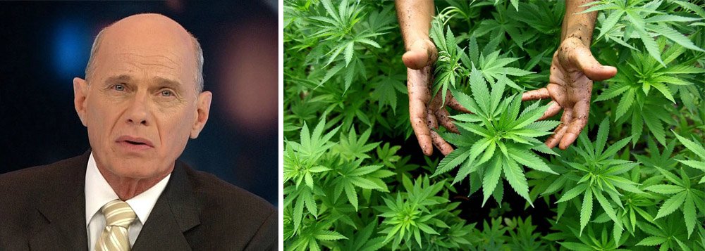 Em entrevista ao site Growroom, dedicado à legalização e comercialização da maconha, o jornalista Ricardo Boechat criticou a política de repressão da droga; para ele, a hipocrisia e leis retrógradas mantêm a cannabis na ilegalidade como se isso resolvesse os problemas; "Ah você vai ficar doidão. Tem cara que fica doidão e pinta bem pra caralho, outros compõem músicas antológicas. Tem mais, Hitler não se drogava, o Eduardo Cunha não deve consumir droga", afirmou; sobre o uso medicinal, Boechat disse que faria o que fosse necessário para ter acesso à maconha; "Quem é a Anvisa? É uma agência reguladora como todas as outras num antro de putaria. Vou deixar minha saúde nas mãos dessas figuras?" (Foto: Aquiles Lins) Em entrevista ao site Growroom, dedicado à legalização e comercialização da maconha, o jornalista Ricardo Boechat criticou a política de repressão da droga; para ele, a hipocrisia e leis retrógradas mantêm a cannabis na ilegalidade como se isso resolvesse os problemas; "Ah você vai ficar doidão. Tem cara que fica doidão e pinta bem pra caralho, outros compõem músicas antológicas. Tem mais, Hitler não se drogava, o Eduardo Cunha não deve consumir droga", afirmou; sobre o uso medicinal, Boechat disse que faria o que fosse necessário para ter acesso à maconha; "Quem é a Anvisa? É uma agência reguladora como todas as outras num antro de putaria. Vou deixar minha saúde nas mãos dessas figuras?"