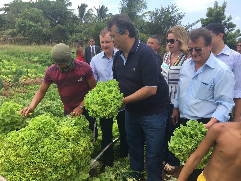 O governador Flávio Dino participou da inauguração de unidades experimentais de captação de energia solar para irrigação no Agropolo da Ilha; a solenidade aconteceu em uma Unidade de Referência de Produção (URP) na Raposa; a iniciativa se somará às demais experiências já realizadas, visando contribuir para a redução de gastos dos agricultores, proporcionando diminuição nos custos em itens como insumos, sementes e, agora, com energia elétrica; os pequenos produtores do Agropolo da Ilha poderão ter mais oportunidades de aumentar sua produção, gerar renda e contribuir para o abastecimento da região metropolitana (Foto: Leonardo Lucena) O governador Flávio Dino participou da inauguração de unidades experimentais de captação de energia solar para irrigação no Agropolo da Ilha; a solenidade aconteceu em uma Unidade de Referência de Produção (URP) na Raposa; a iniciativa se somará às demais experiências já realizadas, visando contribuir para a redução de gastos dos agricultores, proporcionando diminuição nos custos em itens como insumos, sementes e, agora, com energia elétrica; os pequenos produtores do Agropolo da Ilha poderão ter mais oportunidades de aumentar sua produção, gerar renda e contribuir para o abastecimento da região metropolitana