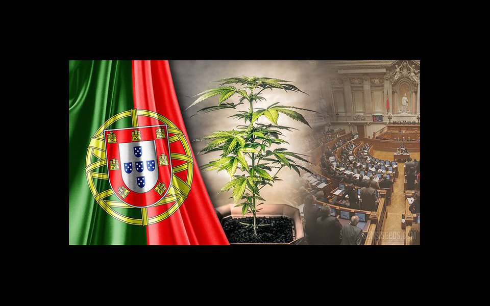 Da Europa aos EUA alerta-se que a "guerra à droga", lançada por Nixon em 1971, não apenas não impediu o aumento do consumo como fortaleceu os cartéis. Nos últimos anos, a estratégia mundial de combate à droga baseou-se na militarização do combate ao narcotráfico. Tornou-se evidente que esta abordagem fez mais mal do que bem. Portugal é o exemplo mais bem sucedido de legalização da droga. (Foto: Luis Pellegrini) Da Europa aos EUA alerta-se que a "guerra à droga", lançada por Nixon em 1971, não apenas não impediu o aumento do consumo como fortaleceu os cartéis. Nos últimos anos, a estratégia mundial de combate à droga baseou-se na militarização do combate ao narcotráfico. Tornou-se evidente que esta abordagem fez mais mal do que bem. Portugal é o exemplo mais bem sucedido de legalização da droga.