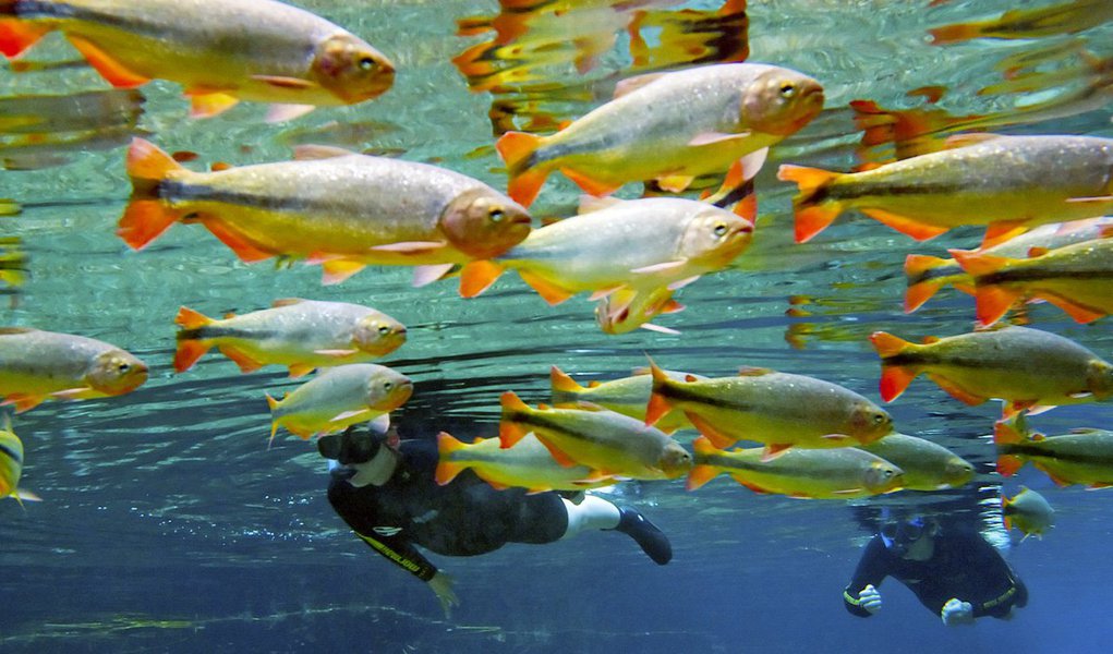 Ecoturismo, natureza e aventura são o segundo motivo que mais atrai turistas estrangeiros para o Brasil (Foto: Leonardo Attuch) Ecoturismo, natureza e aventura são o segundo motivo que mais atrai turistas estrangeiros para o Brasil