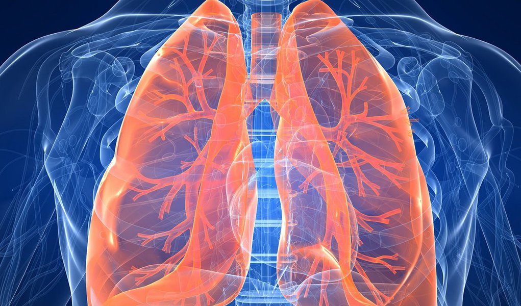 Sentir falta de ar e fadiga durante a realização de atividades diárias, como subir escadas, pode ser um indício da hipertensão pulmonar tromboembólica crônica (HPTEC), doença incapacitante e que é desconhecida por 76% dos brasileiros, como revela pesquisa inédita realizada pela ABRAF (Associação Brasileira de Amigos e Familiares de Portadores de Hipertensão Pulmonar); pouco conhecida, a hipertensão pulmonar acomete os pulmões e o coração, em que a pressão do sangue nas artérias pulmonares torna-se acima do normal, sobrecarregando o coração, podendo levar à insuficiência cardíaca e até mesmo à morte; conheça mais sobre a doença e como tratá-la (Foto: Paulo Emílio) Sentir falta de ar e fadiga durante a realização de atividades diárias, como subir escadas, pode ser um indício da hipertensão pulmonar tromboembólica crônica (HPTEC), doença incapacitante e que é desconhecida por 76% dos brasileiros, como revela pesquisa inédita realizada pela ABRAF (Associação Brasileira de Amigos e Familiares de Portadores de Hipertensão Pulmonar); pouco conhecida, a hipertensão pulmonar acomete os pulmões e o coração, em que a pressão do sangue nas artérias pulmonares torna-se acima do normal, sobrecarregando o coração, podendo levar à insuficiência cardíaca e até mesmo à morte; conheça mais sobre a doença e como tratá-la