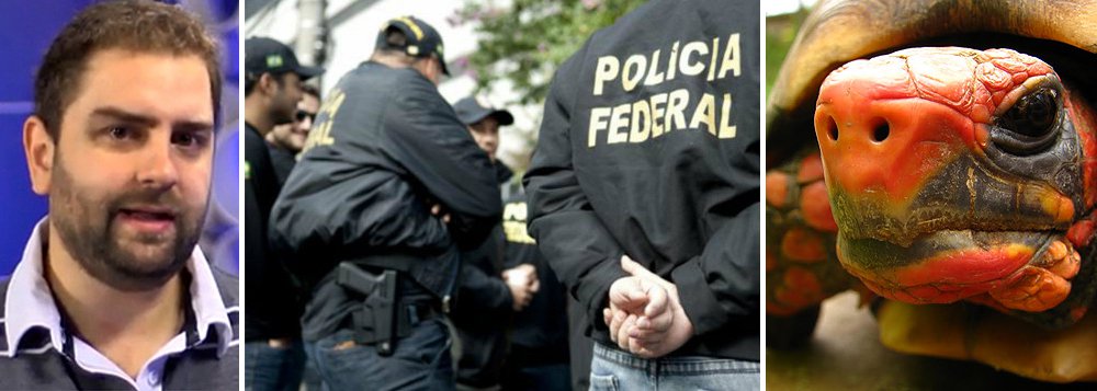 No despacho em que autorizou as ações realizadas pela PF na segunda (26), que incluíram buscas na empresa de Luís Claudio Lula da Silva, a juíza Regina Celia Ody Bernardes acrescentou uma determinação curiosa, que sugere uma interferência suspeita na condução da Operação Zelotes, aponta a colunista do 247 Tereza Cruvinel; a juíza determina que a autoridade policial informe o juízo acerca das providências tomadas para esclarecer em que circunstâncias ocorreu a visita do delegado da PF Reinaldo de Almeida Cesar Sobrinho ao investigado Fernando Cesar de Moreira Mesquita; "A ordem faz supor que a juíza suspeita de uma ação do referido policial em favor dos investigados", avalia Cruvinel (Foto: Tereza Cruvinel) No despacho em que autorizou as ações realizadas pela PF na segunda (26), que incluíram buscas na empresa de Luís Claudio Lula da Silva, a juíza Regina Celia Ody Bernardes acrescentou uma determinação curiosa, que sugere uma interferência suspeita na condução da Operação Zelotes, aponta a colunista do 247 Tereza Cruvinel; a juíza determina que a autoridade policial informe o juízo acerca das providências tomadas para esclarecer em que circunstâncias ocorreu a visita do delegado da PF Reinaldo de Almeida Cesar Sobrinho ao investigado Fernando Cesar de Moreira Mesquita; "A ordem faz supor que a juíza suspeita de uma ação do referido policial em favor dos investigados", avalia Cruvinel