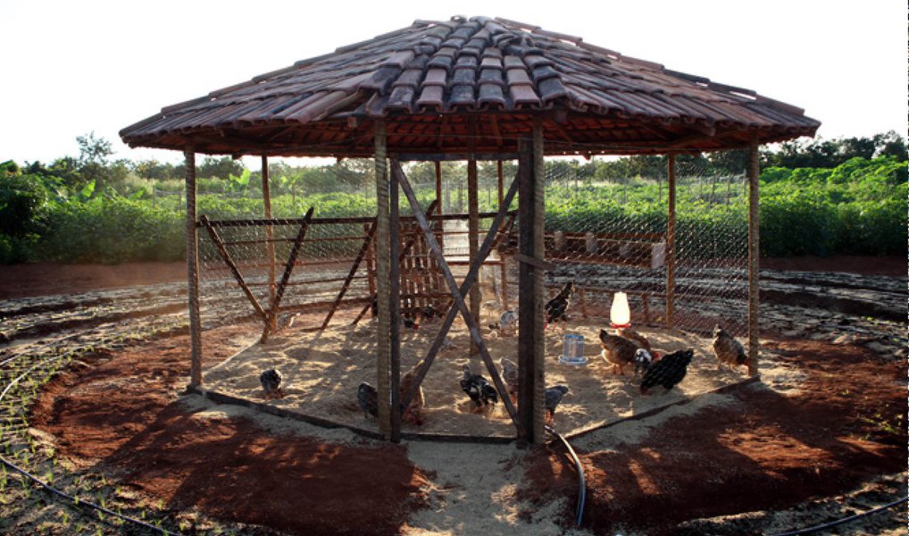 Desde 2004, as paisagens secas de regiões áridas do país vêm ganhando mais tons de verde e oferecendo qualidade de vida a seus habitantes; a mudança é proporcionada por uma tecnologia social chamada de Produção Agroecologia Integrada e Sustentável (PAIS), que incentiva a produção sem o uso de agrotóxicos, com técnicas que preservam a natureza e ainda garantem segurança alimentar e renda a milhares de famílias que antes dependiam de programas sociais para sobreviver; fomentado pelo Sebrae, o sistema funciona a partir de três canteiros circulares, preparados para o cultivo de hortaliças (Foto: Leonardo Lucena) Desde 2004, as paisagens secas de regiões áridas do país vêm ganhando mais tons de verde e oferecendo qualidade de vida a seus habitantes; a mudança é proporcionada por uma tecnologia social chamada de Produção Agroecologia Integrada e Sustentável (PAIS), que incentiva a produção sem o uso de agrotóxicos, com técnicas que preservam a natureza e ainda garantem segurança alimentar e renda a milhares de famílias que antes dependiam de programas sociais para sobreviver; fomentado pelo Sebrae, o sistema funciona a partir de três canteiros circulares, preparados para o cultivo de hortaliças