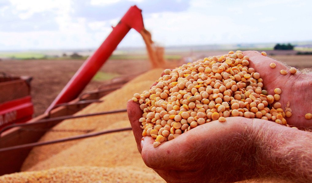 Associação dos Produtores de Soja (Aprosoja), sediada em Brasília, solicitou ao governo brasileiro que apresente queixa contra os Estados Unidos na Organização Mundial do Comércio; entidade reclama que os subsídios do governo aos norte-americanos podem estar custando aos produtores brasileiros 1 bilhão de dólares em negócios perdidos por ano; produtores de soja estão seguindo os produtores brasileiros de algodão, que ganharam 300 milhões de dólares em compensações dos EUA em 2014 (Foto: Aquiles Lins) Associação dos Produtores de Soja (Aprosoja), sediada em Brasília, solicitou ao governo brasileiro que apresente queixa contra os Estados Unidos na Organização Mundial do Comércio; entidade reclama que os subsídios do governo aos norte-americanos podem estar custando aos produtores brasileiros 1 bilhão de dólares em negócios perdidos por ano; produtores de soja estão seguindo os produtores brasileiros de algodão, que ganharam 300 milhões de dólares em compensações dos EUA em 2014