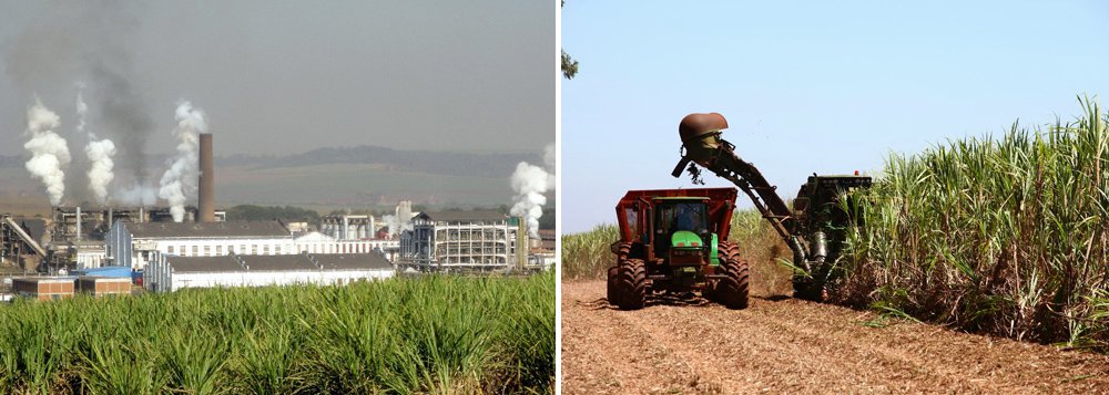 Após o governo de Alagoas decidir suspender benefícios fiscais concedidos ao longo de anos ao setor sucroalcooleiro, o Sindicato da Indústria do Açúcar e do Álcool no Estado (Sindaçúcar-AL) defende que a medida deve prejudicar a competitividade da agroindústria sucroenergética no mercado interno; na última segunda-feira (30), a Secretaria de Estado da Fazenda (Sefaz) divulgou que o governo havia revogado, por meio de decretos, os benefícios fiscais concedidos ao setor sucroalcooleiro, uma forma de corrigir benefícios excessivos conferidos em outros governos (Foto: Voney Malta) Após o governo de Alagoas decidir suspender benefícios fiscais concedidos ao longo de anos ao setor sucroalcooleiro, o Sindicato da Indústria do Açúcar e do Álcool no Estado (Sindaçúcar-AL) defende que a medida deve prejudicar a competitividade da agroindústria sucroenergética no mercado interno; na última segunda-feira (30), a Secretaria de Estado da Fazenda (Sefaz) divulgou que o governo havia revogado, por meio de decretos, os benefícios fiscais concedidos ao setor sucroalcooleiro, uma forma de corrigir benefícios excessivos conferidos em outros governos