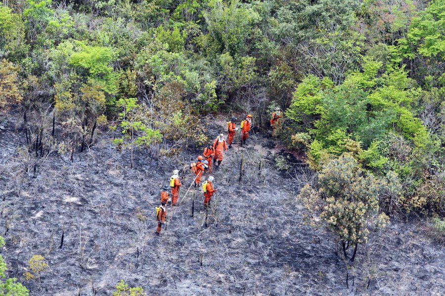 A chuva forte que caiu na Chapada Diamantina na madrugada desta quinta-feira ajudou a diminuir os focos de incêndio que ainda persistem na região. As equipes de combate agora estão concentradas nas regiões de Mucugê, do Vale do Capão e da Serra do Boqueirão, entre os municípios de Lençóis e Palmeiras, onde ainda há chamas. Nas localidades de Morro Branco, Barro Branco, Folha Larga e na Serra do Sobradinho o fogo foi controlado e as áreas estão sendo monitoradas para evitar novas incidências. Há previsão de mais chuva para esta noite; até o momento, R$ 8,6 milhões de recursos estaduais foram investidos no combate ao incêndio (Foto: Romulo Faro) A chuva forte que caiu na Chapada Diamantina na madrugada desta quinta-feira ajudou a diminuir os focos de incêndio que ainda persistem na região. As equipes de combate agora estão concentradas nas regiões de Mucugê, do Vale do Capão e da Serra do Boqueirão, entre os municípios de Lençóis e Palmeiras, onde ainda há chamas. Nas localidades de Morro Branco, Barro Branco, Folha Larga e na Serra do Sobradinho o fogo foi controlado e as áreas estão sendo monitoradas para evitar novas incidências. Há previsão de mais chuva para esta noite; até o momento, R$ 8,6 milhões de recursos estaduais foram investidos no combate ao incêndio