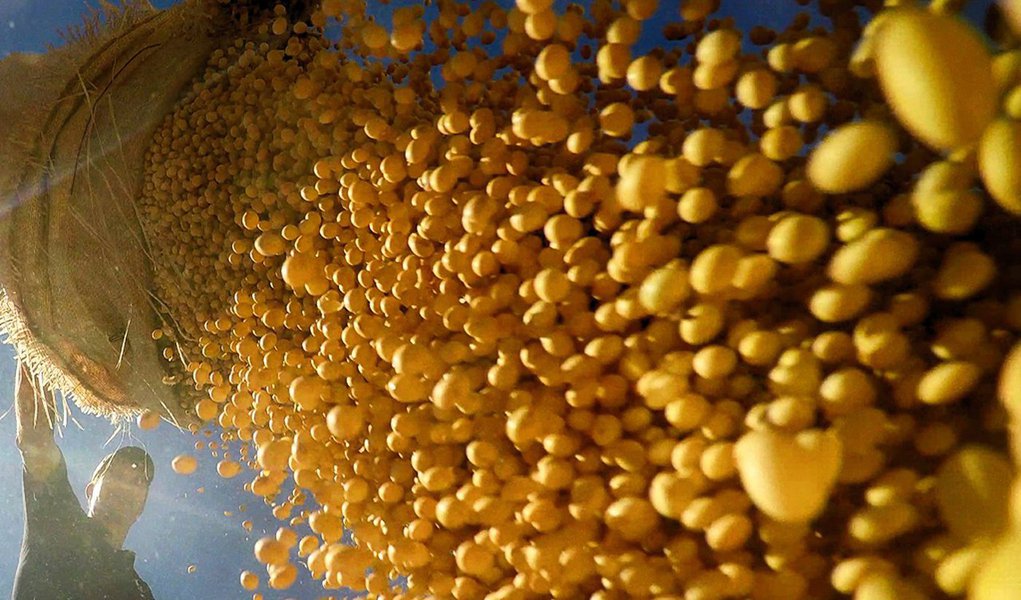 O Instituto Brasileiro de Geografia e Estatística (IBGE) estima que a safra de cereais, leguminosas e oleaginosas deverá ficar em 209,3 milhões de toneladas no próximo ano, de acordo com seu segundo prognóstico para 2016; a estimativa é 1% inferior à previsão para 2015; apesar da queda na safra total, é esperada uma produção recorde de soja (Foto: Paulo Emílio) O Instituto Brasileiro de Geografia e Estatística (IBGE) estima que a safra de cereais, leguminosas e oleaginosas deverá ficar em 209,3 milhões de toneladas no próximo ano, de acordo com seu segundo prognóstico para 2016; a estimativa é 1% inferior à previsão para 2015; apesar da queda na safra total, é esperada uma produção recorde de soja