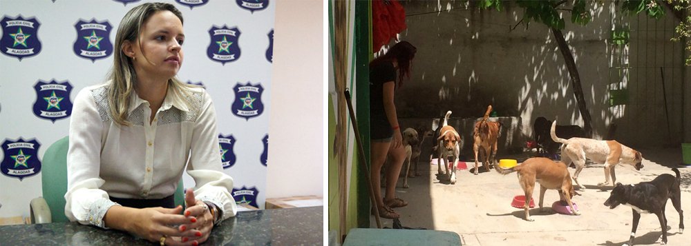 A Polícia Civil de Alagoas indiciou quatro pessoas pelo envenenamento, em dezembro do ano passado, de 30 animais que resultou na morte de 12 cães atendidos pelo Núcleo de Educação Ambiental São Francisco de Assis (Neafa); investigações apontaram que os próprios administradores da ONG e os representantes legais da instituição são os responsáveis pelos crimes (Foto: Voney Malta) A Polícia Civil de Alagoas indiciou quatro pessoas pelo envenenamento, em dezembro do ano passado, de 30 animais que resultou na morte de 12 cães atendidos pelo Núcleo de Educação Ambiental São Francisco de Assis (Neafa); investigações apontaram que os próprios administradores da ONG e os representantes legais da instituição são os responsáveis pelos crimes