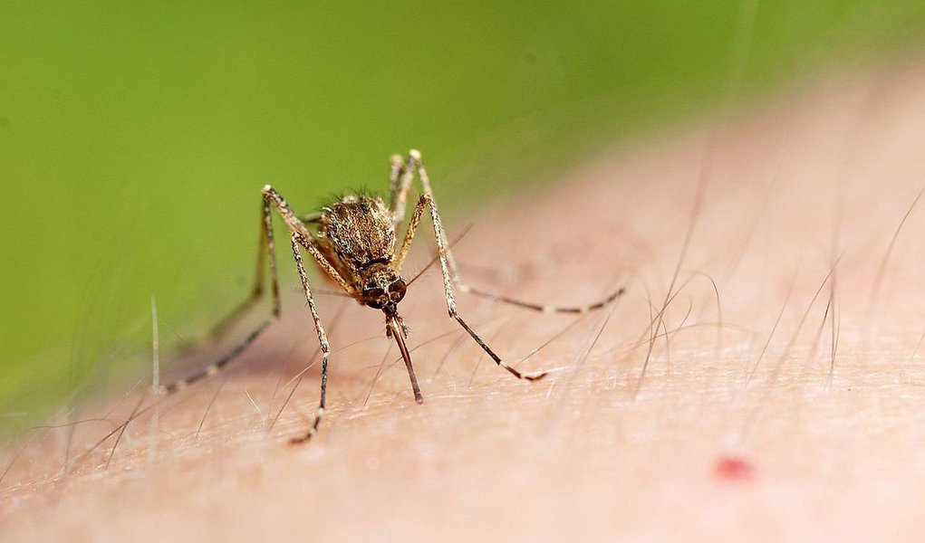 Aumentou de dois para seis o número de casos suspeitos do zika vírus monitorados pela Divisão de Epidemiologia da Secretaria Municipal da Saúde de Foz do Iguaçu, no oeste do Paraná; três pacientes estão internados em hospitais do município; dos seis pacientes, três foram internados por outras causas, mas apresentavam algum sintoma do zika vírus (Foto: Leonardo Lucena) Aumentou de dois para seis o número de casos suspeitos do zika vírus monitorados pela Divisão de Epidemiologia da Secretaria Municipal da Saúde de Foz do Iguaçu, no oeste do Paraná; três pacientes estão internados em hospitais do município; dos seis pacientes, três foram internados por outras causas, mas apresentavam algum sintoma do zika vírus
