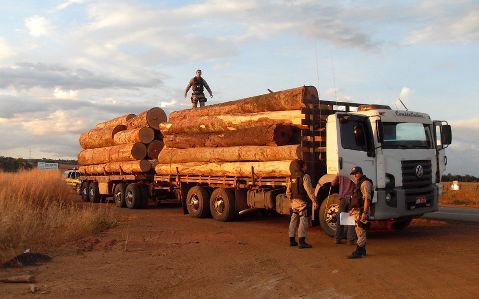 Será um tema quente na COP21: o comércio de espécies selvagens, pesca ilegal, tráfico de resíduos tóxicos... A criminalidade ambiental está crescendo. Projeto que será defendido durante a Conferência sobre o clima que acontecerá em novembro em Paris, quer reforçar o arsenal jurídico internacional. (Foto: Gisele Federicce) www.brasil247.com - Será um tema quente na COP21: o comércio de espécies selvagens, pesca ilegal, tráfico de resíduos tóxicos... A criminalidade ambiental está crescendo. Projeto que será defendido durante a Conferência sobre o clima que acontecerá em novembro em Paris, quer reforçar o arsenal jurídico internacional.