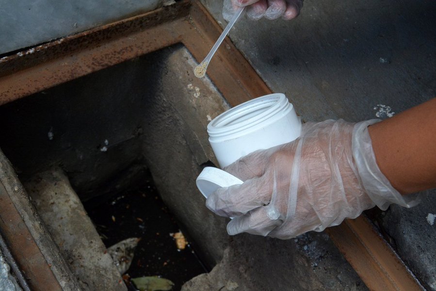 Uma equipe do Centro de Combate de Zoonoses da Prefeitura de Salvador fez na segunda-feira aplicação do larvicida Pinyproxyfen – substância utilizada no combate ao Aedes aegypti – em prédios da Rua Oscar Carrascosa, na Barra, após denúncia de caso suspeito de chikungunya; em um prédio foi encontrado três pontos de focos do mosquito e uma moradora apresentando sintomas da febre chikungunya (Foto: Romulo Faro) Uma equipe do Centro de Combate de Zoonoses da Prefeitura de Salvador fez na segunda-feira aplicação do larvicida Pinyproxyfen – substância utilizada no combate ao Aedes aegypti – em prédios da Rua Oscar Carrascosa, na Barra, após denúncia de caso suspeito de chikungunya; em um prédio foi encontrado três pontos de focos do mosquito e uma moradora apresentando sintomas da febre chikungunya