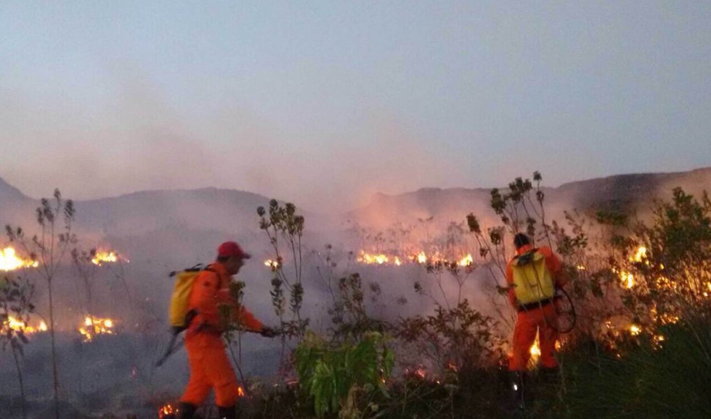 Chefe substituto do Parque Nacional da Chapada Diamantina (PNCD), César Gonçalves, afirma que os incêndios que atingem a região desde o dia 26 de outubro são causados pela ação do homem; “Incêndios naturais são causados por tempestades de raio. Não é o caso. Sabemos que a causa é humana”; segundo ele, as motivações podem ser diversas, como colocar fogo para renovar pastagens ou para diminuir a vegetação e facilitar a caça; mais de 240 homens trabalham para controlar o fogo, que já consumiu aproximadamente entre 15 e 30 mil hectares, segundo a Secretaria de Meio Ambiente (Foto: Leonardo Lucena) Chefe substituto do Parque Nacional da Chapada Diamantina (PNCD), César Gonçalves, afirma que os incêndios que atingem a região desde o dia 26 de outubro são causados pela ação do homem; “Incêndios naturais são causados por tempestades de raio. Não é o caso. Sabemos que a causa é humana”; segundo ele, as motivações podem ser diversas, como colocar fogo para renovar pastagens ou para diminuir a vegetação e facilitar a caça; mais de 240 homens trabalham para controlar o fogo, que já consumiu aproximadamente entre 15 e 30 mil hectares, segundo a Secretaria de Meio Ambiente