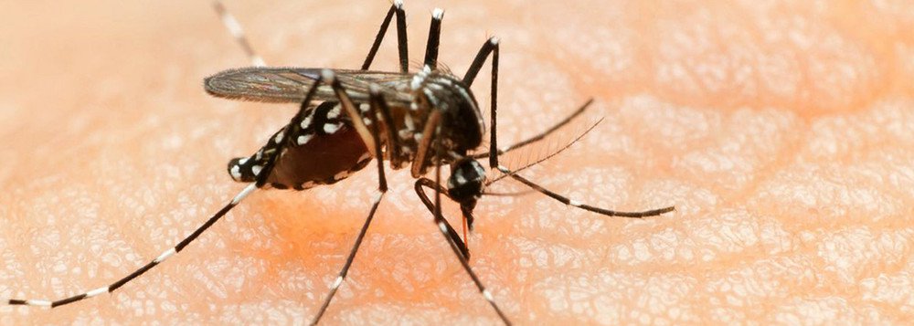 Os casos de síndromes neurológicas associadas ao vírus Zika aumentaram na Colômbia e o número total de infectados subiu 8,25%, chegando a 55.724, informou o Instituto Nacional de Saúde da nação; há 10.319 mulheres grávidas entre os infectados; o boletim epidemiológico semanal revelou que, desde 15 de dezembro de 2015, foram notificados 352 casos de síndromes neurológicas (Guillain-Barré, polineupatia ascendente e outras doenças similares) com antecedente de sintomas compatíveis às do vírus Zika (Foto: Leonardo Lucena) Os casos de síndromes neurológicas associadas ao vírus Zika aumentaram na Colômbia e o número total de infectados subiu 8,25%, chegando a 55.724, informou o Instituto Nacional de Saúde da nação; há 10.319 mulheres grávidas entre os infectados; o boletim epidemiológico semanal revelou que, desde 15 de dezembro de 2015, foram notificados 352 casos de síndromes neurológicas (Guillain-Barré, polineupatia ascendente e outras doenças similares) com antecedente de sintomas compatíveis às do vírus Zika