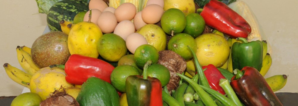 Com a designação, a Fundação Hospitalar do Estado de Minas Gerais (Fhemig) inicia o processo para que agricultores familiares possam, em breve, enviar suas propostas e participar da chamada pública. Se as propostas forem aprovadas, este poderá ser o primeiro hospital do Estado a adquirir produtos desse segmento (Foto: Luis Mauro Queiroz) Com a designação, a Fundação Hospitalar do Estado de Minas Gerais (Fhemig) inicia o processo para que agricultores familiares possam, em breve, enviar suas propostas e participar da chamada pública. Se as propostas forem aprovadas, este poderá ser o primeiro hospital do Estado a adquirir produtos desse segmento