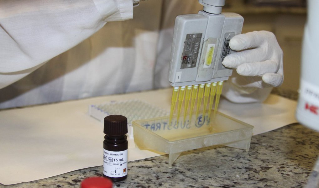 A Fundação Ezequiel Dias (Funed) está atuando em várias frentes de pesquisa e ação neste momento de proliferação de dengue, chikungunya e zika vírus – doenças causadas pelo mosquito Aedes aegypti; no Laboratório de Arbovírus da Funed está sendo realizado o exame para diagnóstico laboratorial do zika vírus com as amostras enviadas por todo os serviços de saúde de Minas Gerais; um estudo para criar um produto feito a partir de plantas naturais, como orégano e cravo da índia, também está sendo desenvolvido em parceria com a PUC-MG para uso como larvicida no combate ao mosquito da dengue (Foto: Leonardo Lucena) A Fundação Ezequiel Dias (Funed) está atuando em várias frentes de pesquisa e ação neste momento de proliferação de dengue, chikungunya e zika vírus – doenças causadas pelo mosquito Aedes aegypti; no Laboratório de Arbovírus da Funed está sendo realizado o exame para diagnóstico laboratorial do zika vírus com as amostras enviadas por todo os serviços de saúde de Minas Gerais; um estudo para criar um produto feito a partir de plantas naturais, como orégano e cravo da índia, também está sendo desenvolvido em parceria com a PUC-MG para uso como larvicida no combate ao mosquito da dengue