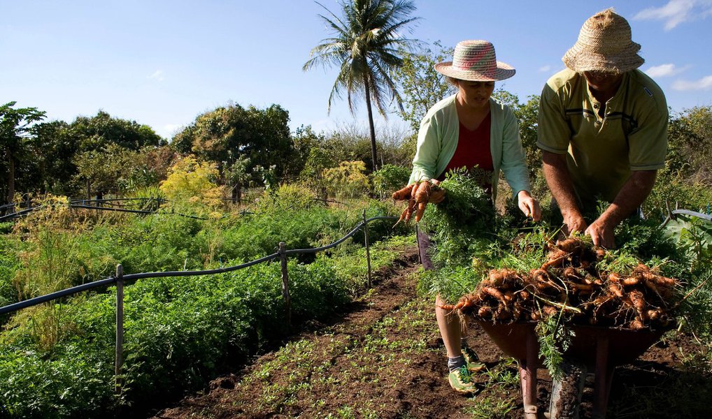Ministério de Desenvolvimento Agrário anunciou que o Plano Safra da Agricultura Familiar 2016/17 prevê R$ 30 bilhões de reais em crédito para os pequenos agricultores, ante R$ 28,9 bilhões ofertados no ano anterior (Foto: Paulo Emílio) Ministério de Desenvolvimento Agrário anunciou que o Plano Safra da Agricultura Familiar 2016/17 prevê R$ 30 bilhões de reais em crédito para os pequenos agricultores, ante R$ 28,9 bilhões ofertados no ano anterior