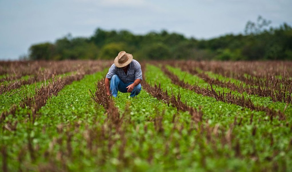 O Plano Safra 2016/2017 vai disponibilizar R$ 202,88 bilhões para produtores rurais; o valor é 8% maior que o da safra anterior, de R$ 187,7 bilhões; o novo Plano Agrícola e Pecuário foi anunciado pela ministra da Agricultura, Pecuária e Abastecimento, Kátia Abreu, em cerimônia no Palácio do Planalto (Foto: Leonardo Lucena) O Plano Safra 2016/2017 vai disponibilizar R$ 202,88 bilhões para produtores rurais; o valor é 8% maior que o da safra anterior, de R$ 187,7 bilhões; o novo Plano Agrícola e Pecuário foi anunciado pela ministra da Agricultura, Pecuária e Abastecimento, Kátia Abreu, em cerimônia no Palácio do Planalto