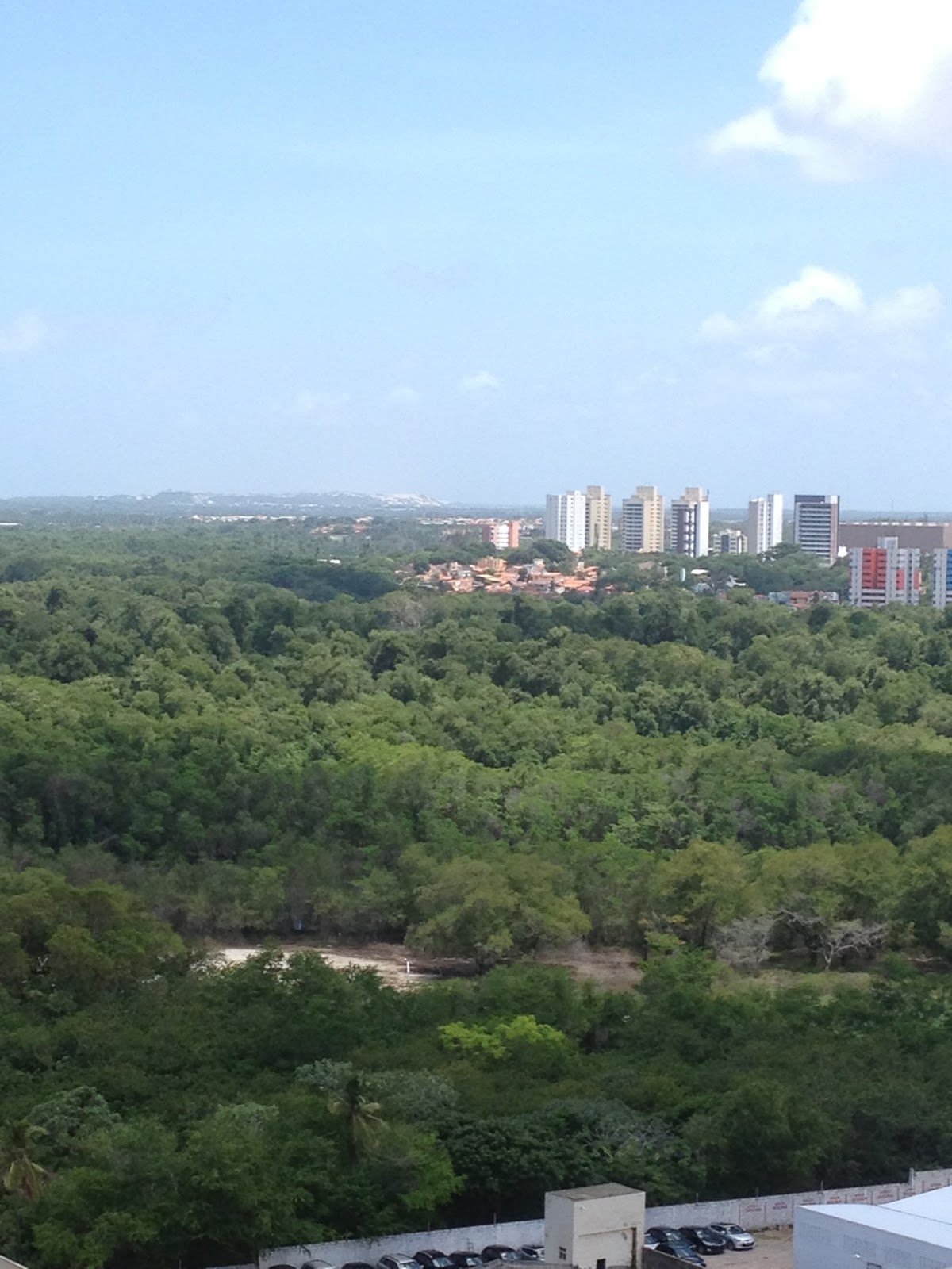 O secretário estadual do Meio Ambiente, Artur Bruno, coordenou hoje (4), a primeira reunião com as lideranças comunitárias que vivem no entorno do Cocó. Além da reunião de hoje, deverão ser realizadas três audiências públicas para debater a regulamentação do parque. A primeira deverá ser nesta sexta-feira (6), às 14h30, na Assembleia Legislativa. Outras duas foram definidas com os líderes comunitários envolvendo s moradores da Sabiaguaba, Tancredo Neves, Cidade 2000 e Cordeiro
(Foto: Fatima 247) O secretário estadual do Meio Ambiente, Artur Bruno, coordenou hoje (4), a primeira reunião com as lideranças comunitárias que vivem no entorno do Cocó. Além da reunião de hoje, deverão ser realizadas três audiências públicas para debater a regulamentação do parque. A primeira deverá ser nesta sexta-feira (6), às 14h30, na Assembleia Legislativa. Outras duas foram definidas com os líderes comunitários envolvendo s moradores da Sabiaguaba, Tancredo Neves, Cidade 2000 e Cordeiro