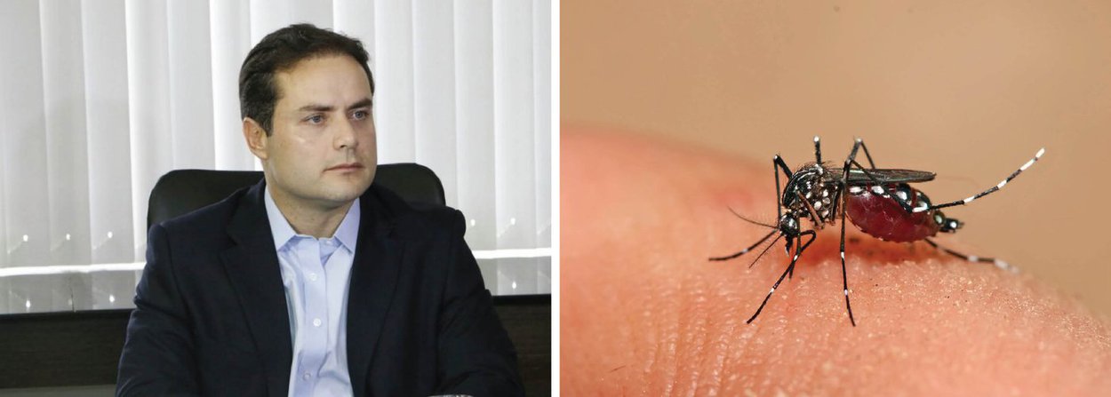O governo de Alagoas pode decretar situação de emergência em decorrência do aumento de casos de microcefalia; para isso, o governador Renan Filho e a secretária de Estado da Saúde, Rozangela Wyszomirska, vão se reunir para discutir essa possibilidade com o objetivo de desburocratizar as medidas a serem adotadas; até o início desta semana, foram registradas 88 notificações suspeitas da doença (Foto: Voney Malta) O governo de Alagoas pode decretar situação de emergência em decorrência do aumento de casos de microcefalia; para isso, o governador Renan Filho e a secretária de Estado da Saúde, Rozangela Wyszomirska, vão se reunir para discutir essa possibilidade com o objetivo de desburocratizar as medidas a serem adotadas; até o início desta semana, foram registradas 88 notificações suspeitas da doença