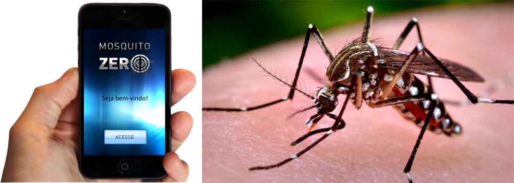 Desenvolvido pelo Núcleo de Tecnologia da Informação da Secretaria Municipal da Saúde, o aplicativo 'Mosquito Zero' é uma ferramenta capaz de registrar focos do Aedes aegypti, além de notificar em tempo real os casos suspeitos de dengue, chikungunya e zika vírus; o dispositivo que estará disponível em duas plataformas - através do app com compatibilidade para Android e IOS, bem como, um portal na internet -, promete ser mais uma importante arma no enfrentamento das arboviroses (Foto: Romulo Faro) Desenvolvido pelo Núcleo de Tecnologia da Informação da Secretaria Municipal da Saúde, o aplicativo 'Mosquito Zero' é uma ferramenta capaz de registrar focos do Aedes aegypti, além de notificar em tempo real os casos suspeitos de dengue, chikungunya e zika vírus; o dispositivo que estará disponível em duas plataformas - através do app com compatibilidade para Android e IOS, bem como, um portal na internet -, promete ser mais uma importante arma no enfrentamento das arboviroses
