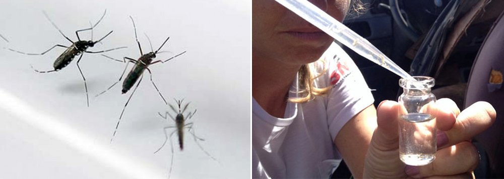 Número de mortes em Pernambuco resultantes de a rboviroses cresceu 92% em apenas uma semana; segundo a Secretaria Estadual de Saúde (SES), o número de óbitos confirmados passou de 13 para 25. A chikungunya é a doença que mais tem causado vítimas: 20. Outras 5 pessoas faleceram em decorrência de dengue; segundo a SES, desde o início do ano foram registrados 199 óbitos notificados e relacionados com arboviroses (Foto: Paulo Emílio) Número de mortes em Pernambuco resultantes de a rboviroses cresceu 92% em apenas uma semana; segundo a Secretaria Estadual de Saúde (SES), o número de óbitos confirmados passou de 13 para 25. A chikungunya é a doença que mais tem causado vítimas: 20. Outras 5 pessoas faleceram em decorrência de dengue; segundo a SES, desde o início do ano foram registrados 199 óbitos notificados e relacionados com arboviroses