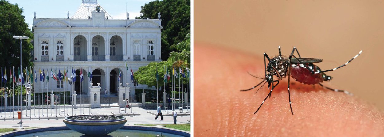 O governo de Alagoas vai lançar um plano de combate ao mosquito Aedes aegypti em parceria com prefeitos e deputados estaduais; o combate ao vetor causador da microcefalia e o acompanhamento com gestantes e crianças são as duas vertentes do plano; decreto de estado de emergência e apoio do Exército também estão sendo analisados; último relatório divulgado pela secretaria de Estado da Saúde registra 94 casos suspeitos de microcefalia; 88 são em recém-nascidos e seis são intrauterinos (Foto: Voney Malta) O governo de Alagoas vai lançar um plano de combate ao mosquito Aedes aegypti em parceria com prefeitos e deputados estaduais; o combate ao vetor causador da microcefalia e o acompanhamento com gestantes e crianças são as duas vertentes do plano; decreto de estado de emergência e apoio do Exército também estão sendo analisados; último relatório divulgado pela secretaria de Estado da Saúde registra 94 casos suspeitos de microcefalia; 88 são em recém-nascidos e seis são intrauterinos