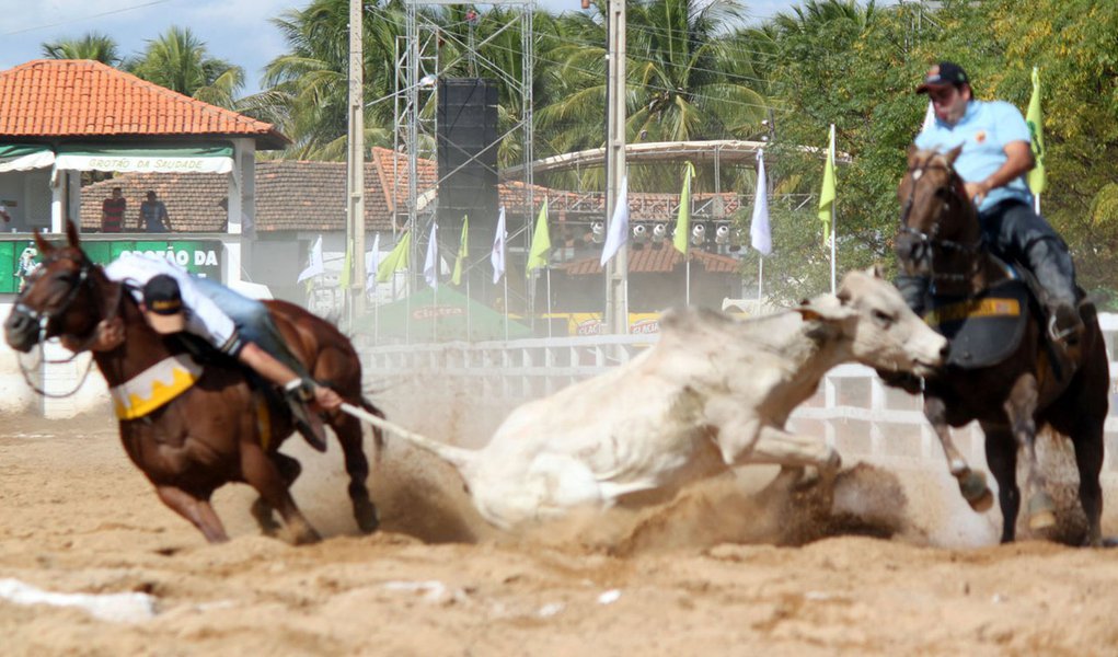 Comissão de Constituição e Justiça (CCJ) aprovou Projeto de Lei de autoria do deputado João Mádison (PMDB) que regulamenta a vaquejada como prática desportiva e cultural no Piauí; proposta, aprovada em primeira e segunda votações em plenário, institui medidas de proteção e combate aos maus tratos com os animais durante o evento; "No Piauí são mais de 800 vaquejadas o que movimenta cerca de 500 milhões de reais por ano", justifica o deputado João Mádison (Foto: Aquiles Lins) Comissão de Constituição e Justiça (CCJ) aprovou Projeto de Lei de autoria do deputado João Mádison (PMDB) que regulamenta a vaquejada como prática desportiva e cultural no Piauí; proposta, aprovada em primeira e segunda votações em plenário, institui medidas de proteção e combate aos maus tratos com os animais durante o evento; "No Piauí são mais de 800 vaquejadas o que movimenta cerca de 500 milhões de reais por ano", justifica o deputado João Mádison