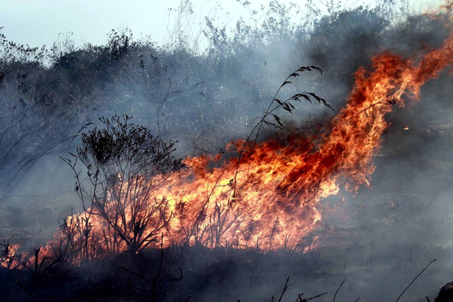 O Ministério Público Federal (MPF) em Irecê pediu abertura de inquérito policial para apurar se os incêndios que consomem o Parque Nacional da Chapada Diamantina foram provocados por 'atuação humana'; os ofícios foram expedidos à Polícia Federal na quinta-feira (26); na investigação que buscou apurar as providências adotadas pelos órgãos competentes para combater o fogo, o MPF encontrou indícios de que o incêndio pode ter sido provocado 'pelo homem' (Foto: Romulo Faro) O Ministério Público Federal (MPF) em Irecê pediu abertura de inquérito policial para apurar se os incêndios que consomem o Parque Nacional da Chapada Diamantina foram provocados por 'atuação humana'; os ofícios foram expedidos à Polícia Federal na quinta-feira (26); na investigação que buscou apurar as providências adotadas pelos órgãos competentes para combater o fogo, o MPF encontrou indícios de que o incêndio pode ter sido provocado 'pelo homem'