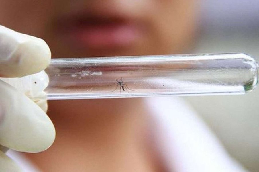 Do início de outubro de 2015 até segunda-feira (18) já foram notificados 496 casos de microcefalia na Bahia, com perímetro cefálico menor ou igual a 32 centímetros; os casos foram notificados em 88 municípios, sendo Salvador o que apresentou o maior número, com 290 casos (58,5%); do total de casos notificados, 134 mães (27%) referiram ter tido doença exantemática na gestação (Foto: Romulo Faro) Do início de outubro de 2015 até segunda-feira (18) já foram notificados 496 casos de microcefalia na Bahia, com perímetro cefálico menor ou igual a 32 centímetros; os casos foram notificados em 88 municípios, sendo Salvador o que apresentou o maior número, com 290 casos (58,5%); do total de casos notificados, 134 mães (27%) referiram ter tido doença exantemática na gestação