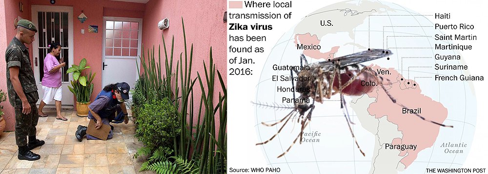 De acordo com a Organização Mundial da Saúde (OMS), o vírus transmitido por meio do mosquito Aedes aegypti e que é suspeito de causar danos aos cérebros de bebês no Brasil deve se espalhar por todos os países das Américas, com a exceção de Canadá e Chile (Foto: Gisele Federicce) De acordo com a Organização Mundial da Saúde (OMS), o vírus transmitido por meio do mosquito Aedes aegypti e que é suspeito de causar danos aos cérebros de bebês no Brasil deve se espalhar por todos os países das Américas, com a exceção de Canadá e Chile