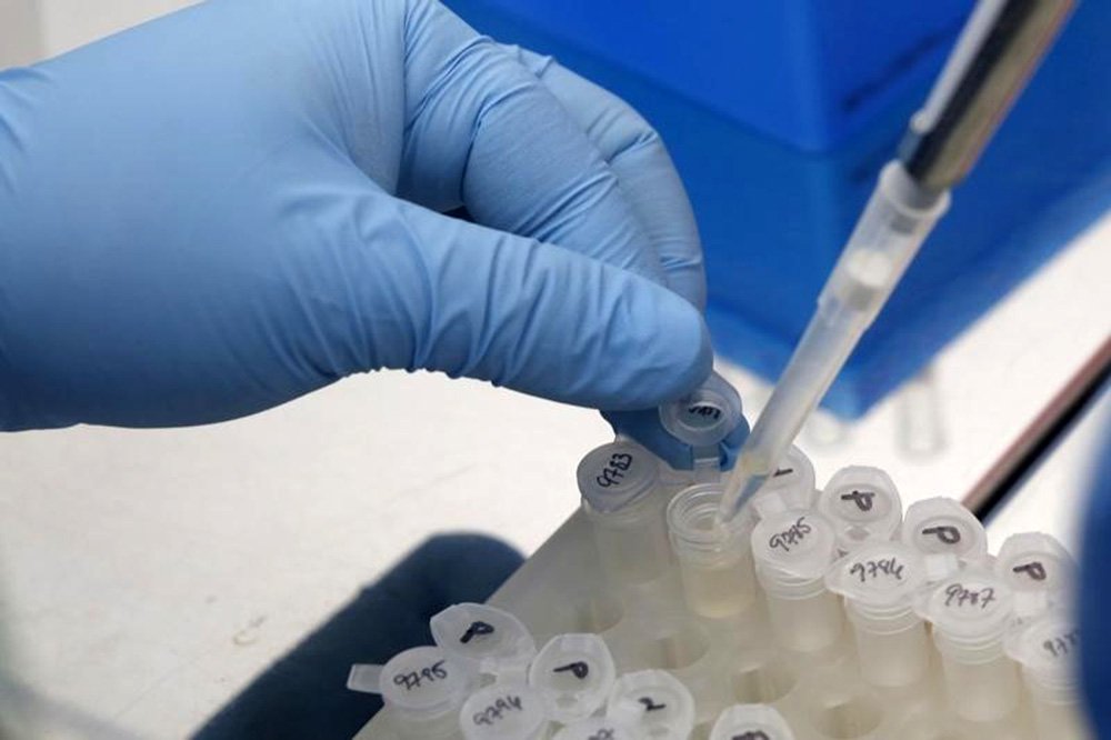 Pesquisador trabalha nos resultados de teste para impedir disseminação do Zika vírus, em laboratório da Cidade do Panamá. REUTERS/Carlos Jasso (Foto: Paulo Emílio) Pesquisador trabalha nos resultados de teste para impedir disseminação do Zika vírus, em laboratório da Cidade do Panamá. REUTERS/Carlos Jasso