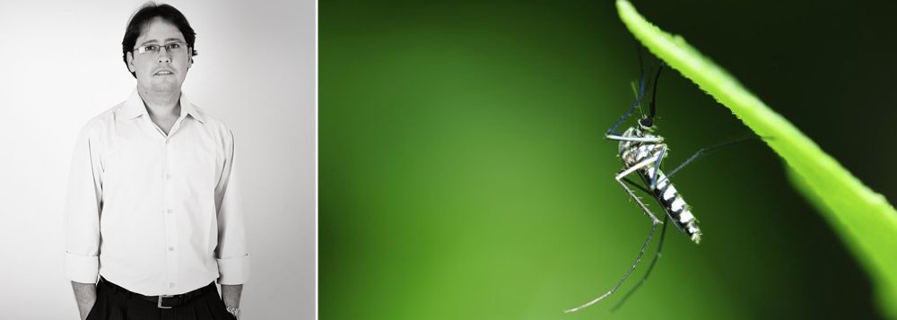 Originário do Egito, o mosquito se dispersou pelo mundo a partir da África: primeiro para as Américas e, em seguida, para a Ásia; ao chegar às cidades, o Aedes Aegypti passou a ser o responsável por surtos de febre amarela e dengue; a partir de meados dos anos 1990, com a classificação da dengue como doença endêmica, passou a estar em evidência; agora, o epidemiologista e secretário-geral da Sociedade Brasileira de Dengue e Arbovirose, Luciano Pamplona, observa que o Aedes aegypti já pode ser considerado um mosquito doméstico: "Ele é praticamente um bichinho de estimação", diz (Foto: Paulo Emílio) www.brasil247.com - Originário do Egito, o mosquito se dispersou pelo mundo a partir da África: primeiro para as Américas e, em seguida, para a Ásia; ao chegar às cidades, o Aedes Aegypti passou a ser o responsável por surtos de febre amarela e dengue; a partir de meados dos anos 1990, com a classificação da dengue como doença endêmica, passou a estar em evidência; agora, o epidemiologista e secretário-geral da Sociedade Brasileira de Dengue e Arbovirose, Luciano Pamplona, observa que o Aedes aegypti já pode ser considerado um mosquito doméstico: "Ele é praticamente um bichinho de estimação", diz
