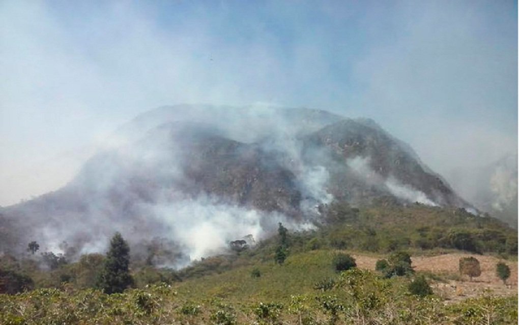 Governo do Estado, por meio da Secretaria do Meio Ambiente (Sema) e do Instituto do Meio Ambiente e Recursos Hídricos (Inema), comprou R$ 500 mil em Equipamentos de Proteção Individual (EPIs) para utilização dos brigadistas voluntários que atuam no combate aos incêndios na região da Chapada Diamantina; parte desse material - que inclui luvas, máscaras, foice, abafadores, mochilas costais, facões, foices, pás, enxadas e fardamento - será entregue para os representantes das brigadas, no grupamento do Corpo de Bombeiro de Lençóis, neste domingo (Foto: José Barbacena) Governo do Estado, por meio da Secretaria do Meio Ambiente (Sema) e do Instituto do Meio Ambiente e Recursos Hídricos (Inema), comprou R$ 500 mil em Equipamentos de Proteção Individual (EPIs) para utilização dos brigadistas voluntários que atuam no combate aos incêndios na região da Chapada Diamantina; parte desse material - que inclui luvas, máscaras, foice, abafadores, mochilas costais, facões, foices, pás, enxadas e fardamento - será entregue para os representantes das brigadas, no grupamento do Corpo de Bombeiro de Lençóis, neste domingo
