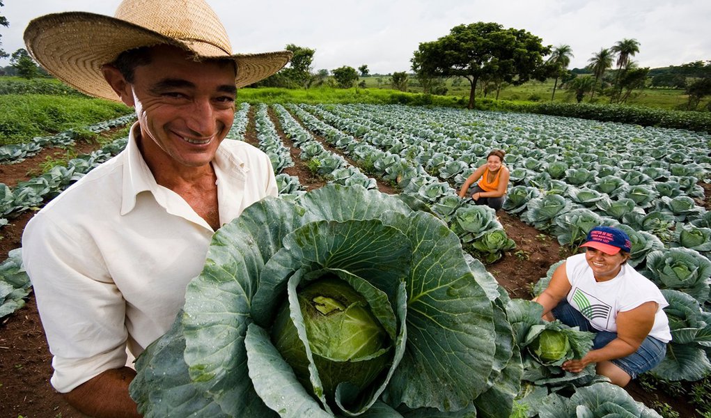 Mais de 18.200 famílias piauienses foram beneficiadas pelo Programa Nacional de Crédito Fundiário (PNCF); entre os Estados do nordeste, o Piauí é o que mais concedeu acesso à terra para a agricultura familiar através do programa; no cenário nacional, o crédito fundiário piauiense é inferior apenas ao do estado do Rio Grande do Sul; de 2002 a 2016, a SDR adquiriu aproximadamente 500 mil hectares de terras para o assentamento de aproximadamente 18 mil famílias em praticamente todos os territórios piauienses; as informações são da Secretaria de Estado de Desenvolvimento Rural (SDR) (Foto: Leonardo Lucena) Mais de 18.200 famílias piauienses foram beneficiadas pelo Programa Nacional de Crédito Fundiário (PNCF); entre os Estados do nordeste, o Piauí é o que mais concedeu acesso à terra para a agricultura familiar através do programa; no cenário nacional, o crédito fundiário piauiense é inferior apenas ao do estado do Rio Grande do Sul; de 2002 a 2016, a SDR adquiriu aproximadamente 500 mil hectares de terras para o assentamento de aproximadamente 18 mil famílias em praticamente todos os territórios piauienses; as informações são da Secretaria de Estado de Desenvolvimento Rural (SDR)