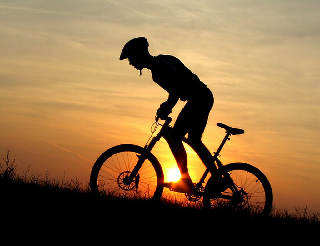 Agora sim, falar em pedalada parece que virou negócio sério, do tipo de que transforma um tema em um tabu, quase um atentado violento ao pudor humano. Fazer pode, discutir é que se tornou coisa de fascista fofoqueiro que não olha o próprio formigueiro (Foto: Tonia Galleti) Agora sim, falar em pedalada parece que virou negócio sério, do tipo de que transforma um tema em um tabu, quase um atentado violento ao pudor humano. Fazer pode, discutir é que se tornou coisa de fascista fofoqueiro que não olha o próprio formigueiro
