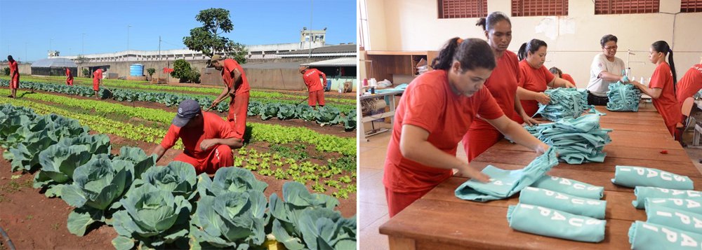 Os detentos em atividades produtivas e de prestação de serviços não se resumem a estas duas atividades; O presídio tem atualmente 300 homens e mulheres, em trabalho interno e externos nas áreas de limpeza, manutenção e obras (Foto: Luis Mauro Queiroz) Os detentos em atividades produtivas e de prestação de serviços não se resumem a estas duas atividades; O presídio tem atualmente 300 homens e mulheres, em trabalho interno e externos nas áreas de limpeza, manutenção e obras
