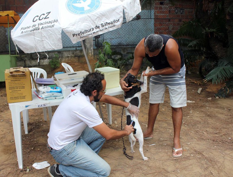 Serviço móvel de castração de cães e gatos disponibilizado gratuitamente pela Prefeitura de Salvador, o Castramóvel disponibiliza já a partir deste mês atendimentos por meio do sistema informatizado Vida, que facilitará o acesso ao serviço; com isso, os proprietários precisam apresentar apenas o próprio cartão SUS, documento de identificação e cartão de vacina antirrábica do animal; em 2014 foram castrados 9.172 cães e gatos e a meta é de que em 2015, cerca de 10 mil animais possam ser castrados e imunizados (Foto: Romulo Faro) Serviço móvel de castração de cães e gatos disponibilizado gratuitamente pela Prefeitura de Salvador, o Castramóvel disponibiliza já a partir deste mês atendimentos por meio do sistema informatizado Vida, que facilitará o acesso ao serviço; com isso, os proprietários precisam apresentar apenas o próprio cartão SUS, documento de identificação e cartão de vacina antirrábica do animal; em 2014 foram castrados 9.172 cães e gatos e a meta é de que em 2015, cerca de 10 mil animais possam ser castrados e imunizados