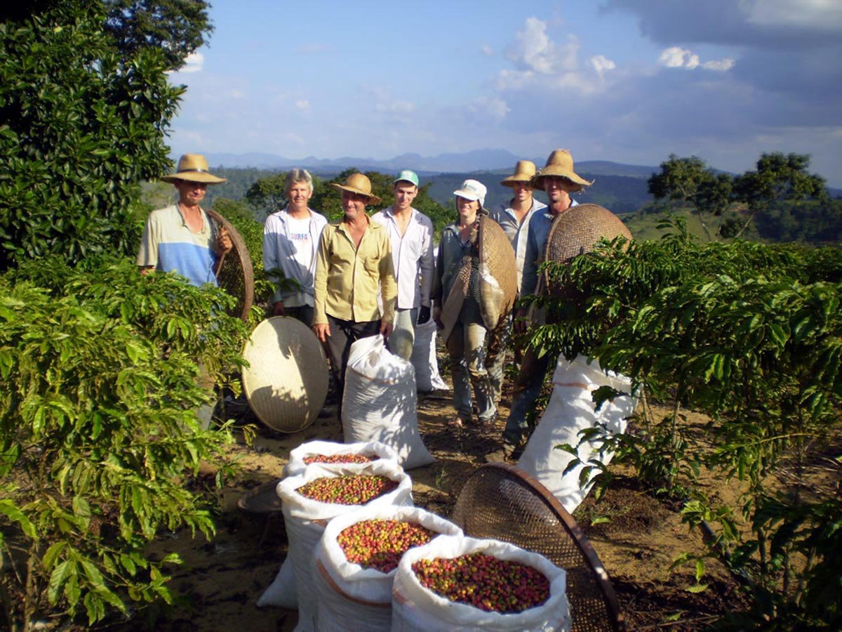 Com os requisitos adequados, os produtores recebem três visitas de orientação técnica da Emater-MG para o estudo do solo, indicação de produção e implantação do projeto; Nos encontros, o terreno é avaliado e são elaborados projetos que indicam opções de cultivo que a propriedade comporta para que o produtor consiga iniciar o negócio.
(Foto: Luis Mauro Queiroz) Com os requisitos adequados, os produtores recebem três visitas de orientação técnica da Emater-MG para o estudo do solo, indicação de produção e implantação do projeto; Nos encontros, o terreno é avaliado e são elaborados projetos que indicam opções de cultivo que a propriedade comporta para que o produtor consiga iniciar o negócio.