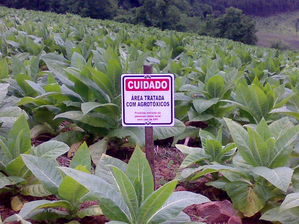 A fiscalização é acompanhada pelo Fórum Cearense de Combate aos Impactos do Uso de Agrotóxicos. O anuncio será feito amanhã, com os resultados da fiscalização feita neste mês de junho (Foto: Fatima 247) A fiscalização é acompanhada pelo Fórum Cearense de Combate aos Impactos do Uso de Agrotóxicos. O anuncio será feito amanhã, com os resultados da fiscalização feita neste mês de junho