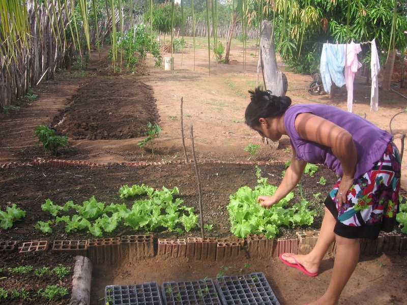 O programa ajuda agricultores cearenses, que já tem acesso à primeira água, na produção de alimentos de origem vegetal, através da captação e armazenamento da água da chuva em cisternas do tipo enxurrada (Foto: Renata Paiva) O programa ajuda agricultores cearenses, que já tem acesso à primeira água, na produção de alimentos de origem vegetal, através da captação e armazenamento da água da chuva em cisternas do tipo enxurrada