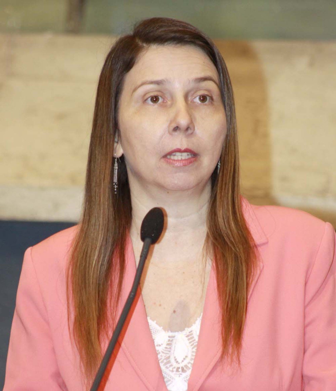 A suplente Rachel Marques deve assumir terça-feira, uma vaga na Assembleia Legislativa, no lugar do atual deputado Jeová Mota, nomeado secretário de esportes do Governo do Estado (Foto: Fatima 247) A suplente Rachel Marques deve assumir terça-feira, uma vaga na Assembleia Legislativa, no lugar do atual deputado Jeová Mota, nomeado secretário de esportes do Governo do Estado
