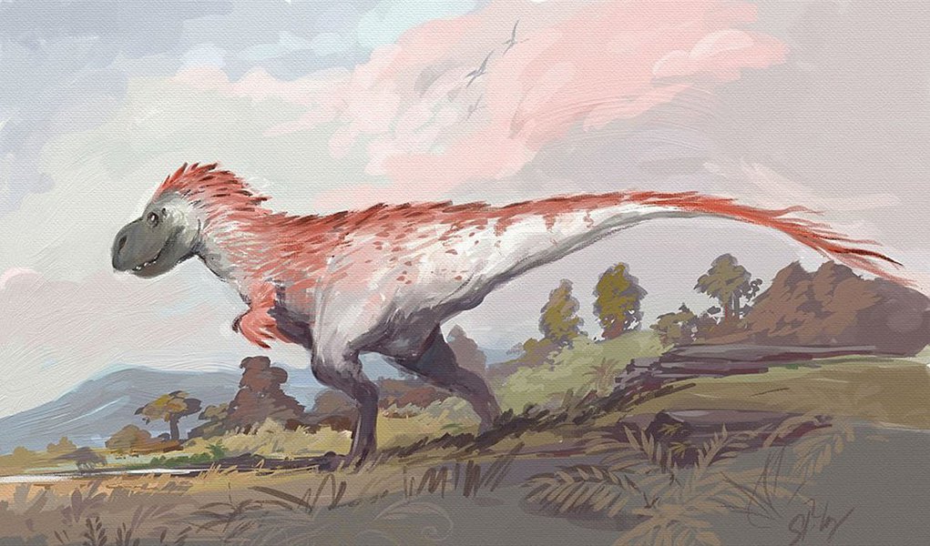 Boa parte dos dinossauros eram emplumados, inclusive aqueles que não tinham asas e portanto não voavam. As plumas eram usadas para a comunicação entre esses animais. (Foto: Gisele Federicce) Boa parte dos dinossauros eram emplumados, inclusive aqueles que não tinham asas e portanto não voavam. As plumas eram usadas para a comunicação entre esses animais.