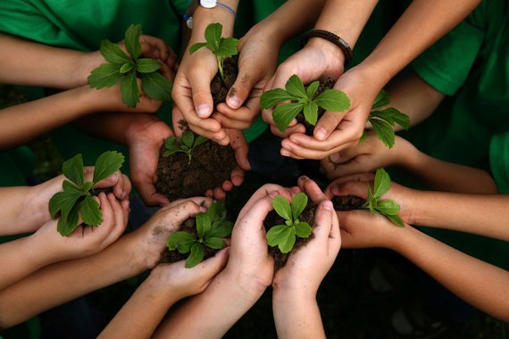 O crescimento do acesso à internet e às mídias sociais vem ampliando a disseminação de informações acerca da sustentabilidade, fazendo com que cresça proporcionalmente a nossa responsabilidade diante do tema (Foto: Paulo Câmara) O crescimento do acesso à internet e às mídias sociais vem ampliando a disseminação de informações acerca da sustentabilidade, fazendo com que cresça proporcionalmente a nossa responsabilidade diante do tema