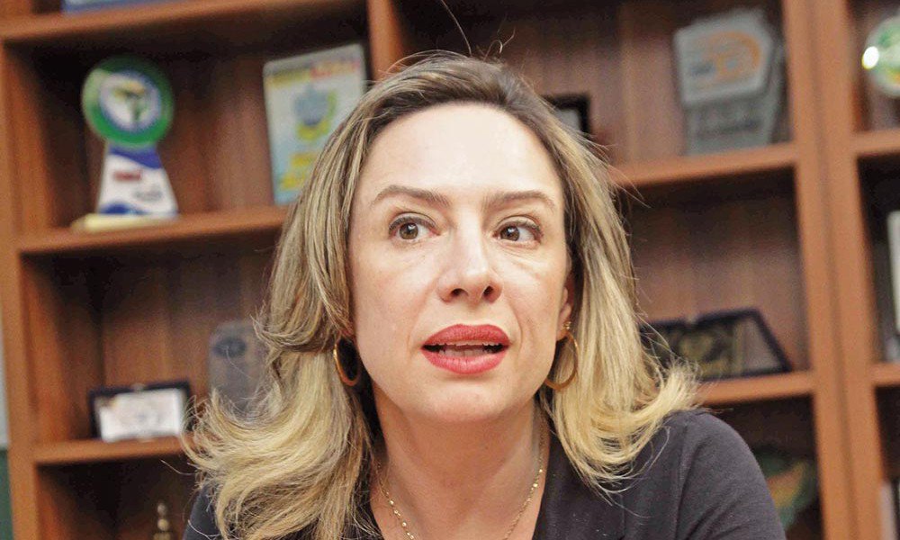 Fica cada vez mais distante o sonho de Iris (PMDB) em aglutinar o partido do senador Ronaldo Caiado e do prefeito Paulo Garcia nas eleições de 2016 em Goiânia; "Com o DEM, eu acho extremamente complicado. Nós temos posições muito diferentes. Seria incoerente só pensando em ganhar uma eleição firmar aliança com o DEM", afirma a deputada estadual petista; posicionamento de Caiado contra o PT pode inviabilizar união de partidos nas eleições municipais (Foto: José Barbacena) Fica cada vez mais distante o sonho de Iris (PMDB) em aglutinar o partido do senador Ronaldo Caiado e do prefeito Paulo Garcia nas eleições de 2016 em Goiânia; "Com o DEM, eu acho extremamente complicado. Nós temos posições muito diferentes. Seria incoerente só pensando em ganhar uma eleição firmar aliança com o DEM", afirma a deputada estadual petista; posicionamento de Caiado contra o PT pode inviabilizar união de partidos nas eleições municipais