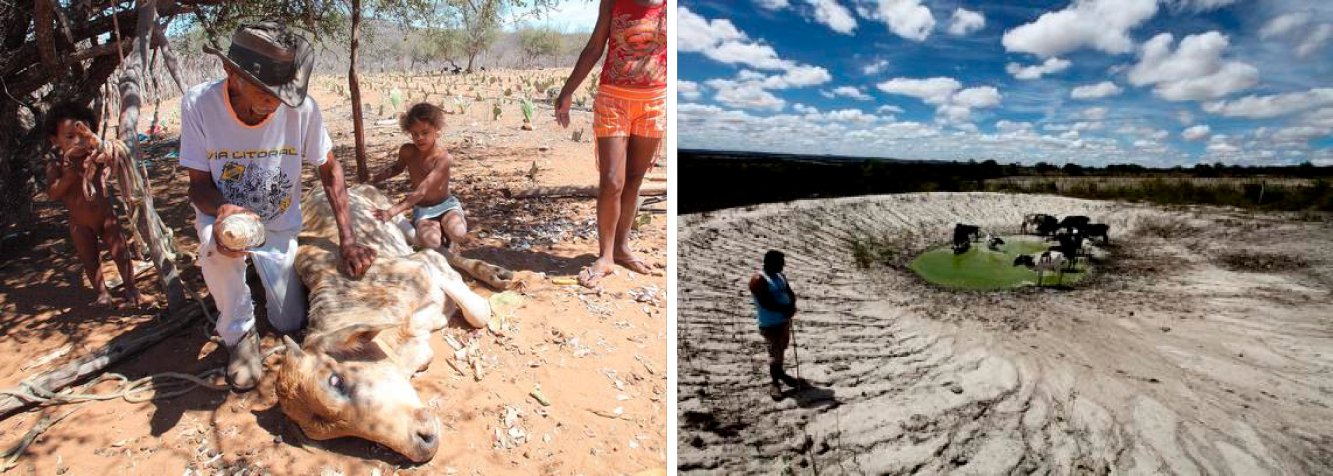 Mais de mil municípios do Nordeste enfrentam situação de emergência reconhecida pelo Ministério da Integração Nacional; o Piauí, com 202 municípios reconhecidos, é o estado com maior volume de ocorrências; a falta de chuva é a causa da maioria dos problemas enfrentados por esses locais; Região enfrenta a pior seca dos últimos 50 anos (Foto: Paulo Emílio) Mais de mil municípios do Nordeste enfrentam situação de emergência reconhecida pelo Ministério da Integração Nacional; o Piauí, com 202 municípios reconhecidos, é o estado com maior volume de ocorrências; a falta de chuva é a causa da maioria dos problemas enfrentados por esses locais; Região enfrenta a pior seca dos últimos 50 anos