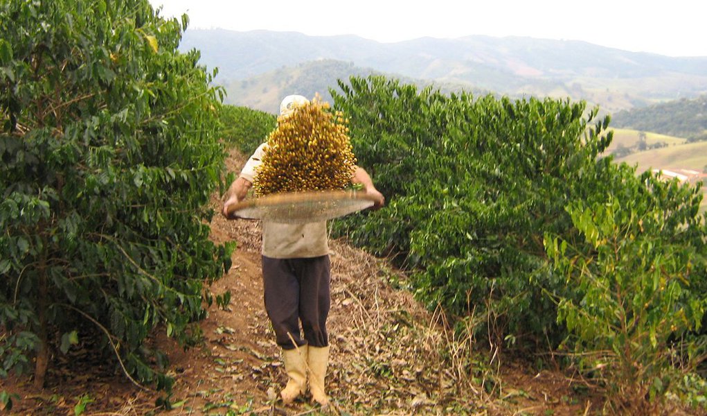O índice é considerado recorde, já que o percentual máximo atingido pelo agronegócio nas exportações totais do estado foi de 29% em 2009; o café representou 57,7% das exportações do agronegócio mineiro; complexo carnes (9,7%), alcançando US$ 176,5 milhões (Foto: Luis Mauro Queiroz) O índice é considerado recorde, já que o percentual máximo atingido pelo agronegócio nas exportações totais do estado foi de 29% em 2009; o café representou 57,7% das exportações do agronegócio mineiro; complexo carnes (9,7%), alcançando US$ 176,5 milhões
